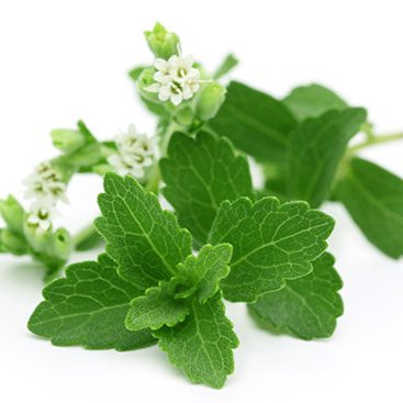 Leaf and Flower