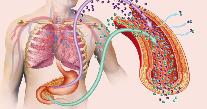 insulin resistance ile ilgili görsel sonucu